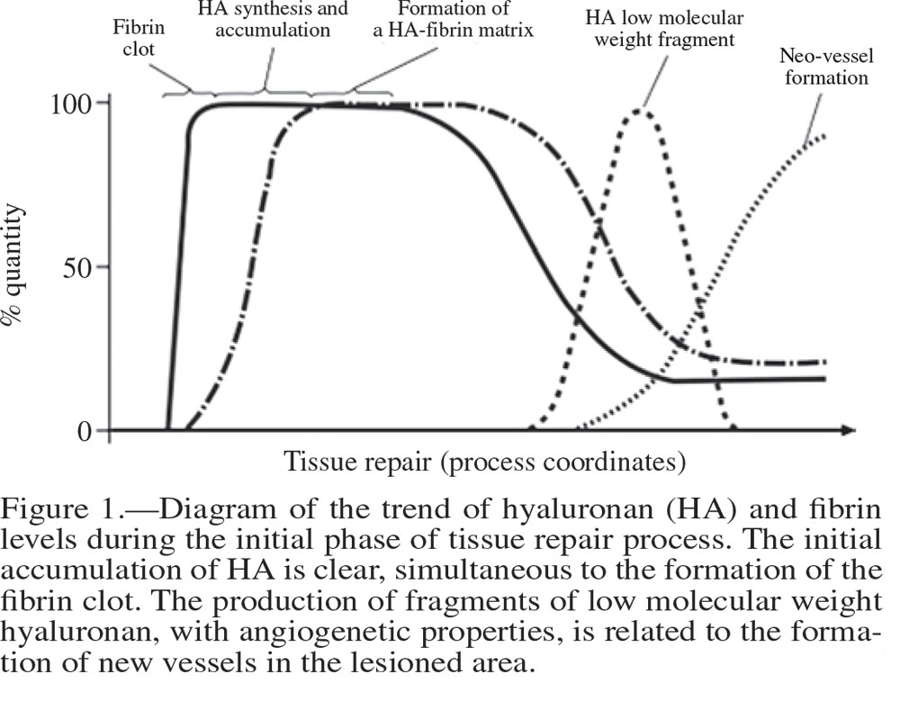 Hyaluronic Acid role in Wound Healing