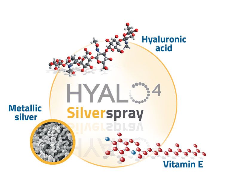 Composizione HYALO4 Silver Spray