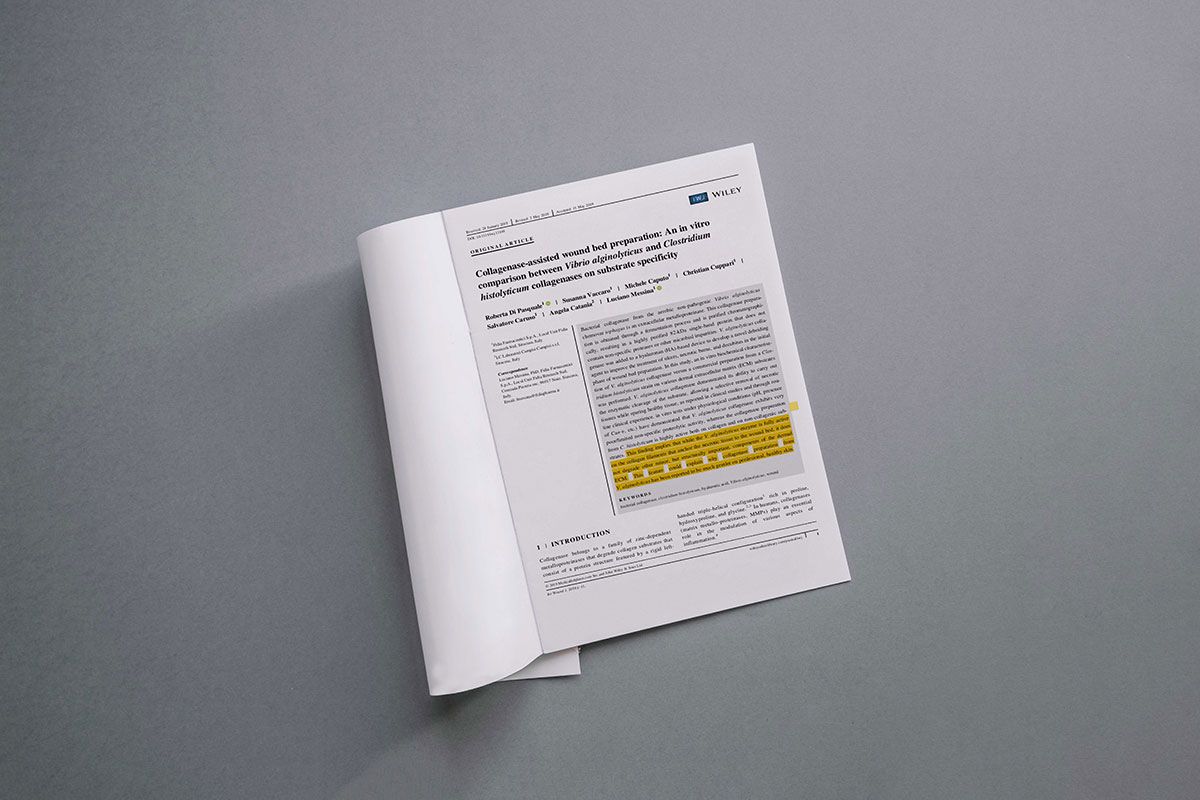 Recent publication about "collagenase-assisted wound bed preparation"