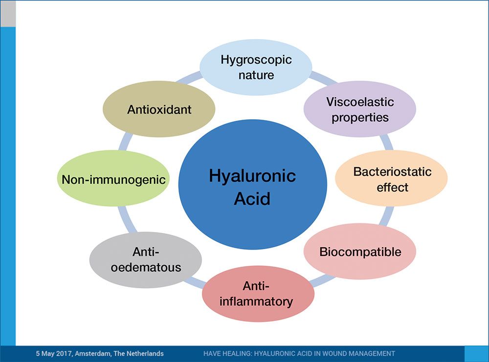 Why low molecular weight HA in wound healing? 