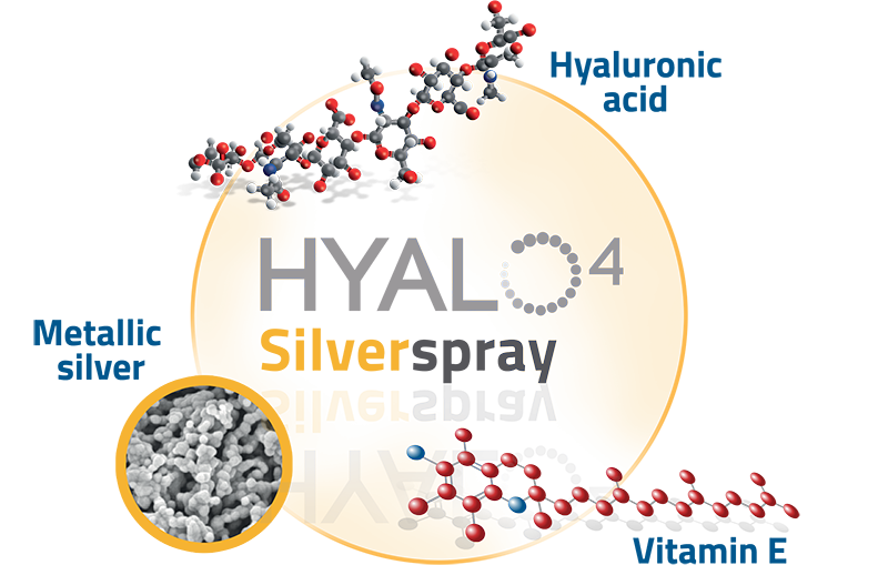 HYALO4 Silver Spray Works